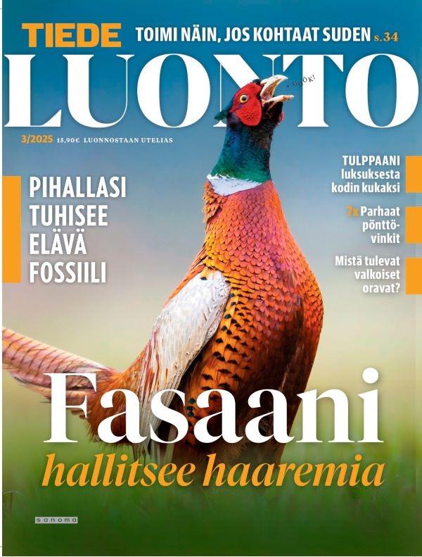 Tiede Luonto kansi