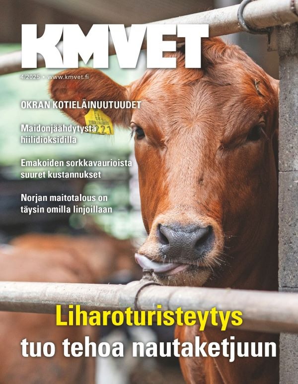 KMVET kansi