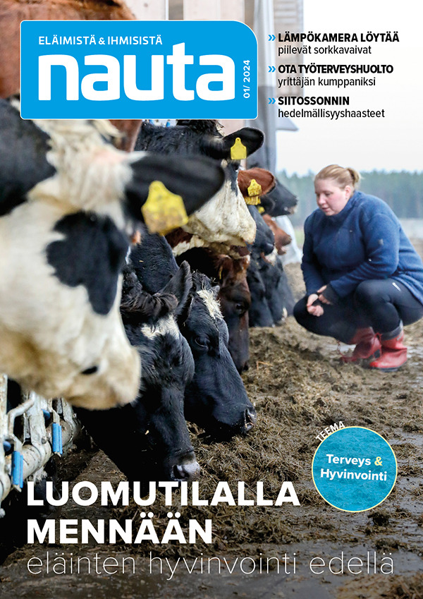 Kansikuva Nauta 2025