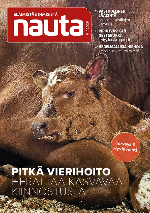 Kansikuva Nauta 2026