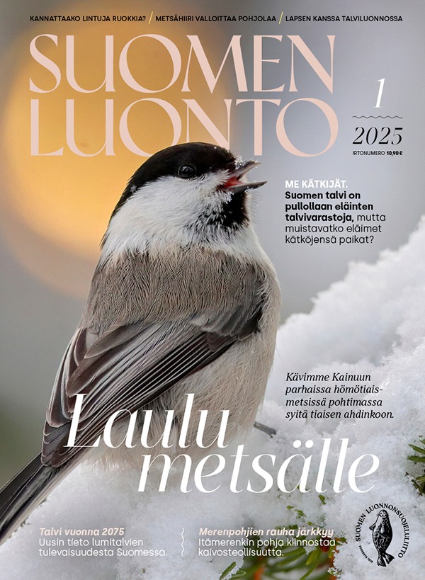 Kansikuva Suomen Luonto 2026