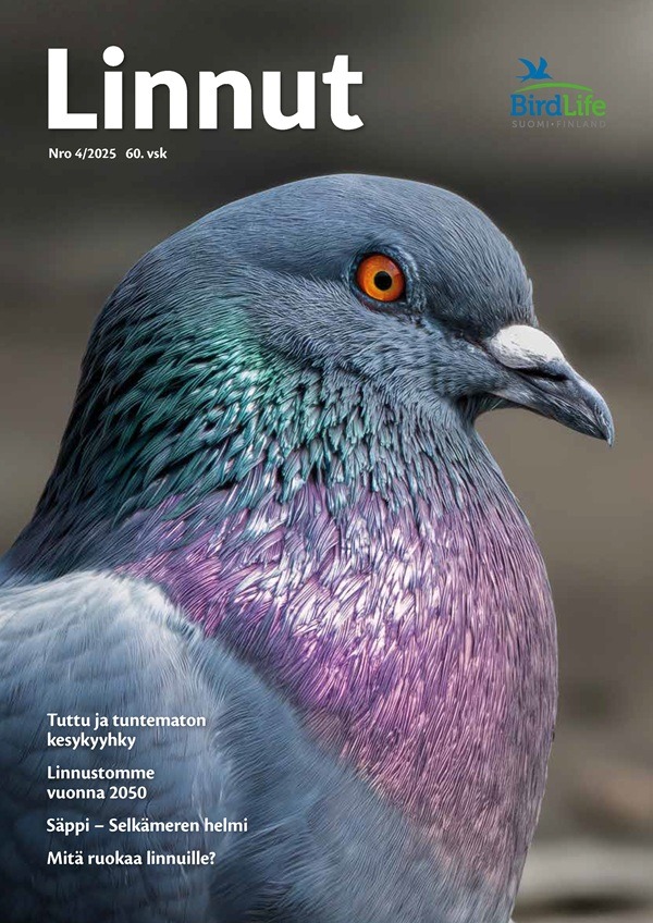 Kansikuva Linnut 2025