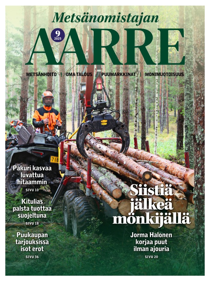 Kansikuva Metsänomistajan Aarre 2026